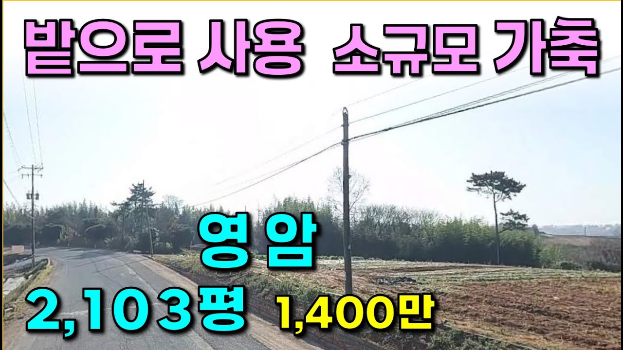 영암 . .2,103평 / 전체 경사 10도미만 , 2차선도로, 전기, 통신 / 소규모 가축, 영산강대교 가까운 곳