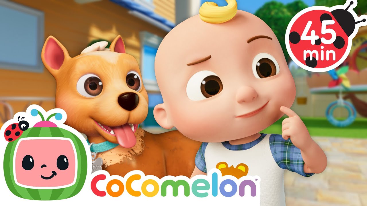 Baby JJ and Bingo's Muddy Playtime Adventure! | CoComelon | Sing Along | Learn about Animals