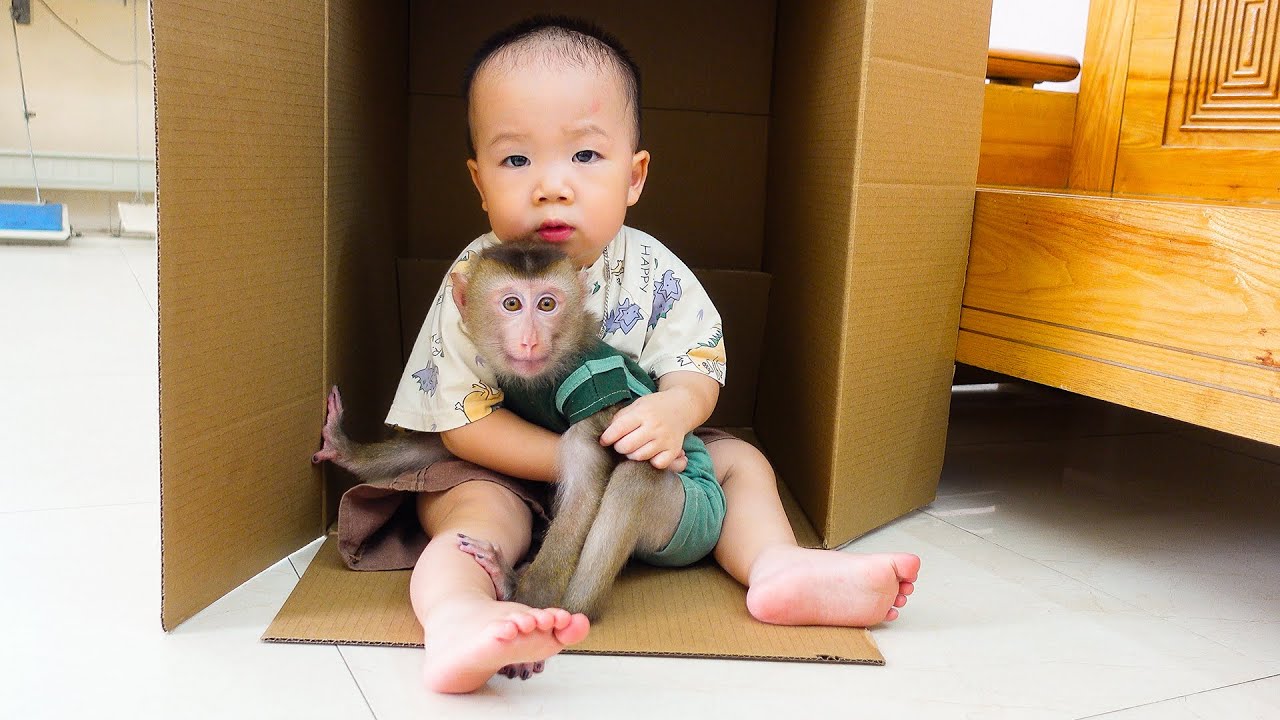 Pupu and Nguyen obediently take care of each other so their mom can work