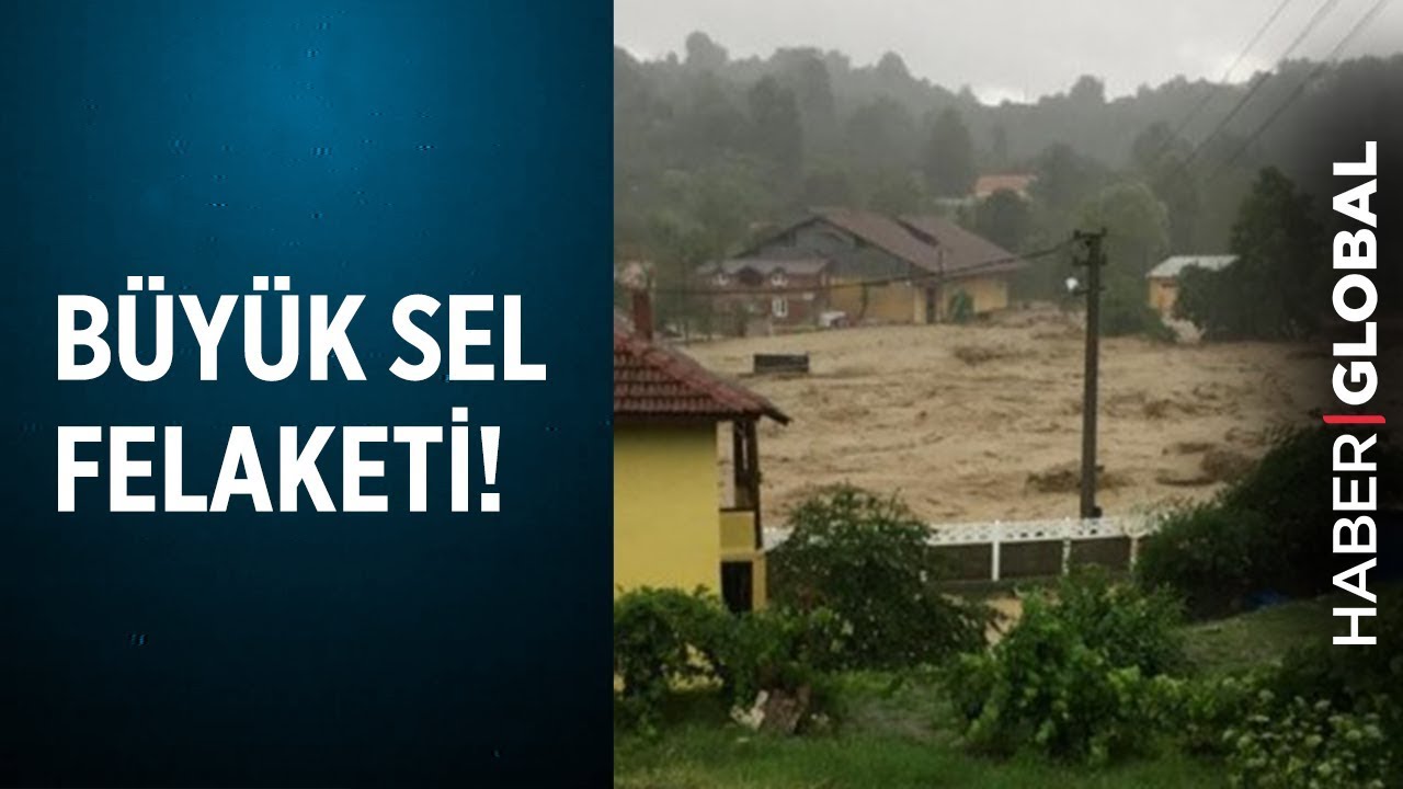 Düzce'de Büyük Sel Baskını! Çınar Ağacı Evleri Nasıl Korudu!