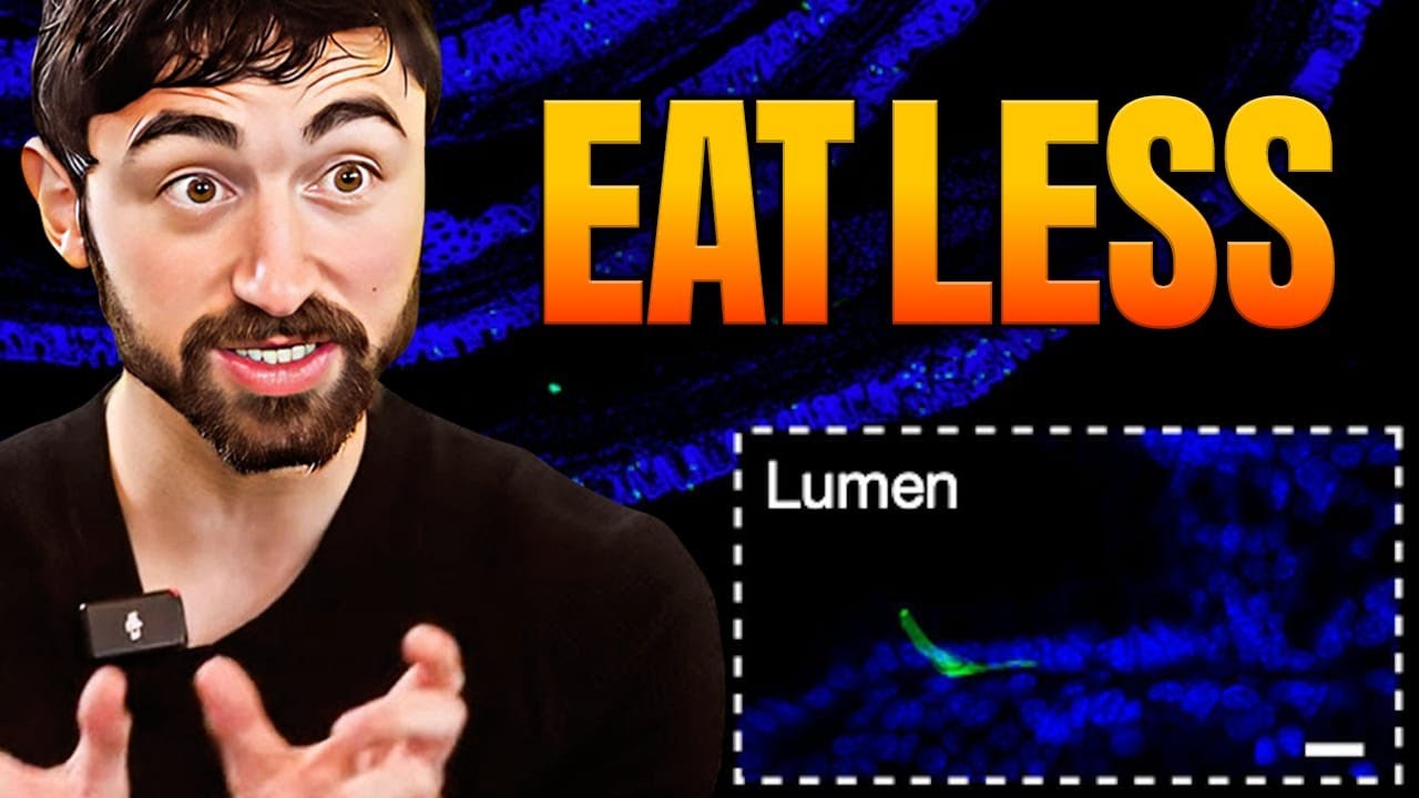 New Science on How Gut Bacteria Control Your Appetite