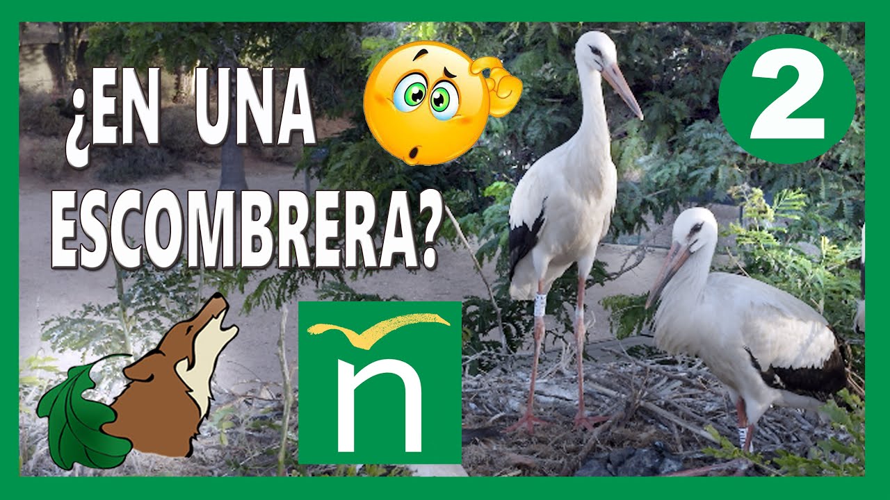 C2 - Aprendiendo en una escombrera - Cañada de los Pájaros.