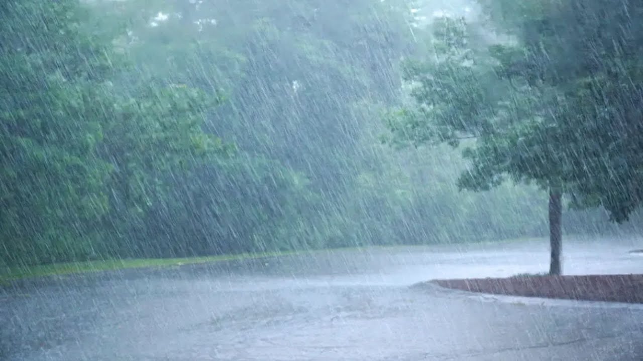 Relax and Unwind: Soothing Rain and Relaxing Music Background Video