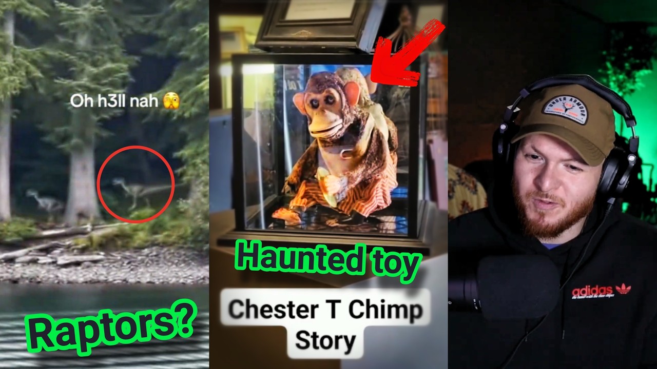 These TIKTOK Clips Are Absolutely Insane
