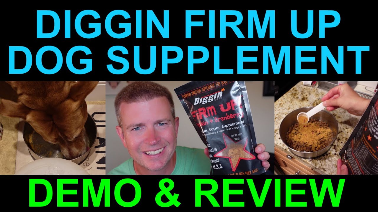 Pumpkin and Cranberry Dog Supplement to Help Firm Up Poo by Diggin Your Dog Product Review
