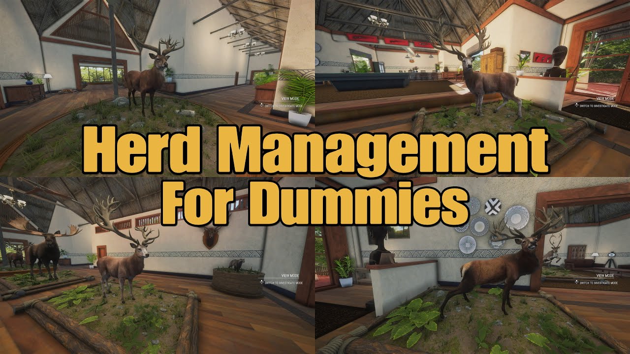 Red Deer Herd Management For Dummies - Call Of The Wild The Hunter