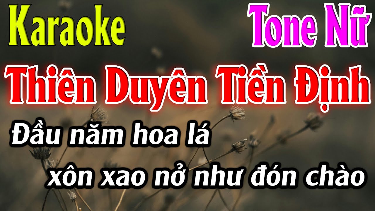 Thiên Duyên Tiền Định Karaoke Tone Nữ Karaoke Lâm Organ - Beat Mới