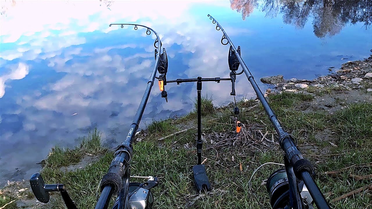 Carp Run Compilation | Die Fischkeks Montage
