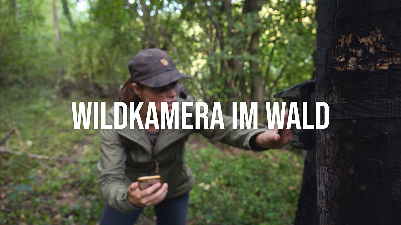 Was passiert im WALD, wenn NIEMAND da ist? | Meine erste WILDKAMERA