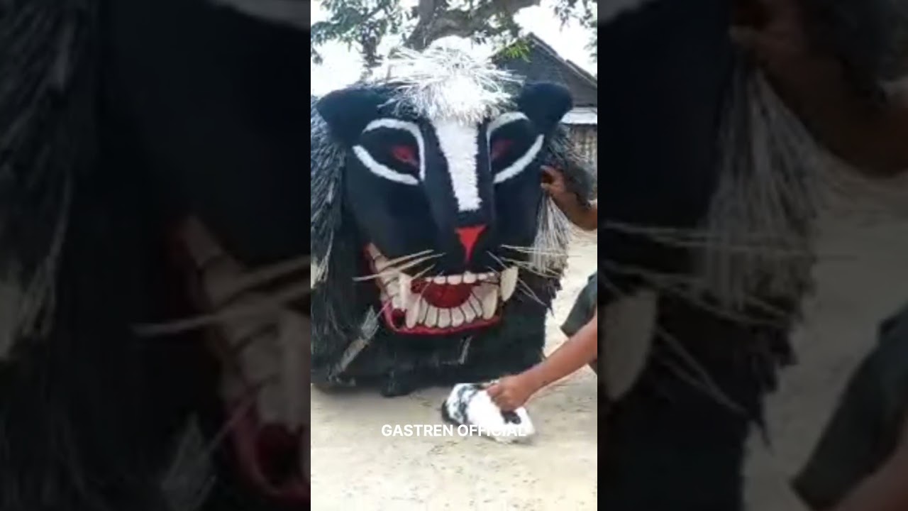 SHORTS MACAN MACANAN KELINCI