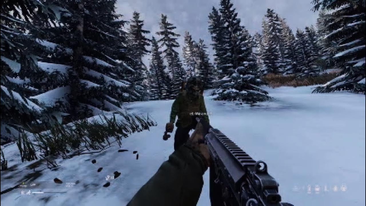 Dayz Law - No French
