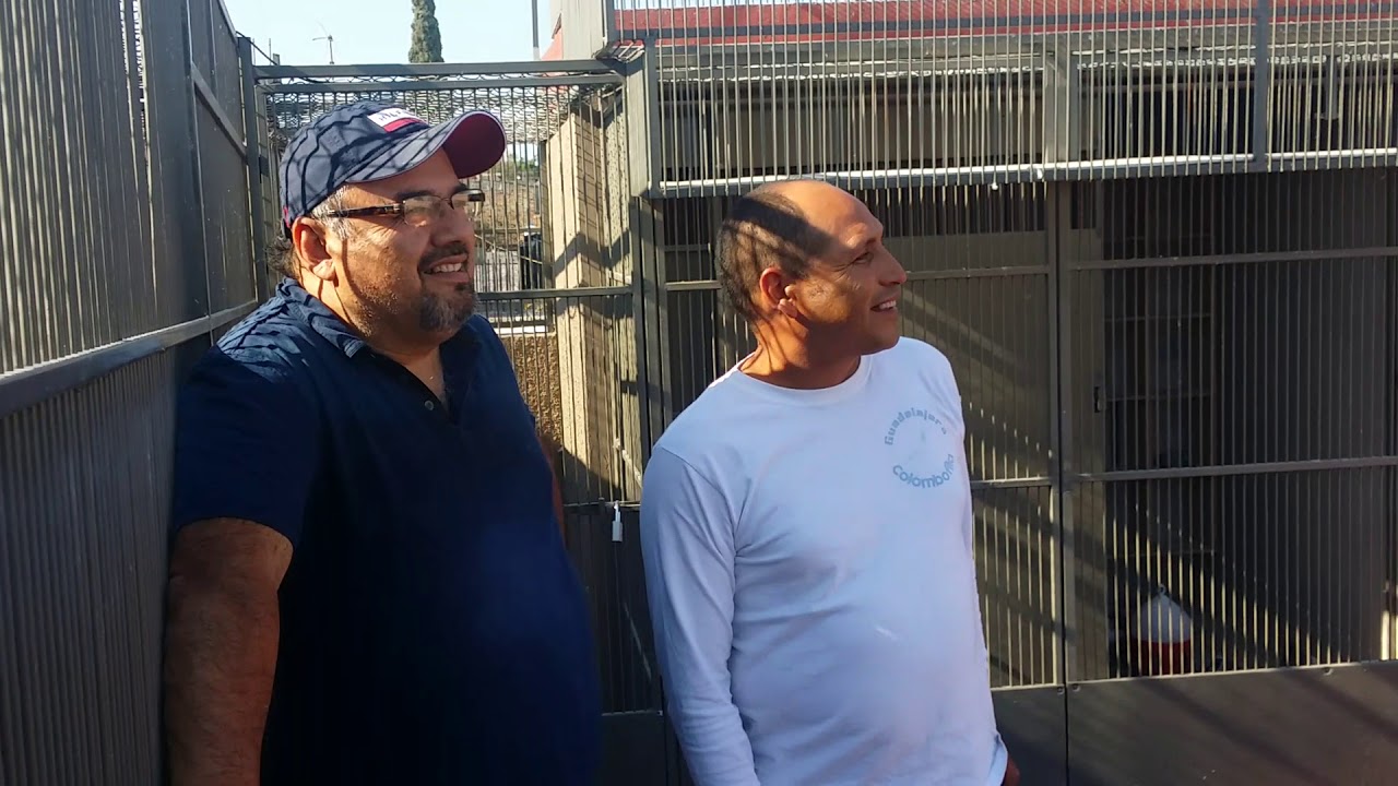 Visita a Los Hermanos Castañeda número  3 gracias por mostrar sus ejemplaresd