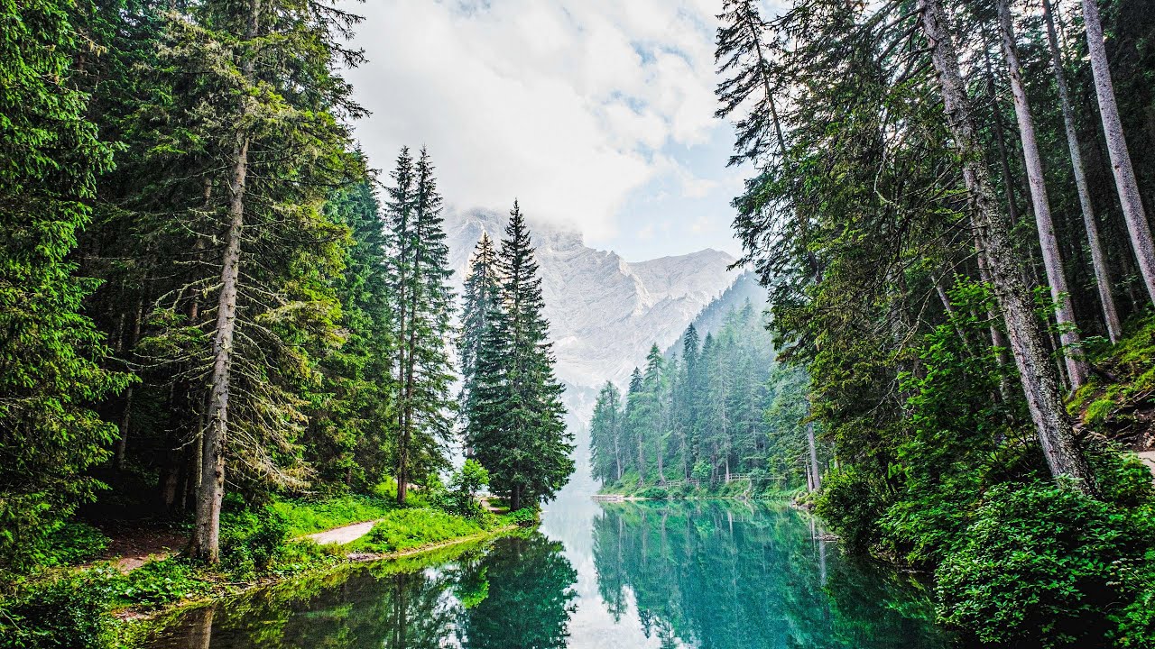 Releaxing Music for Stress Relief, Meditation,Deep Sleep | Just Releax Yourself |