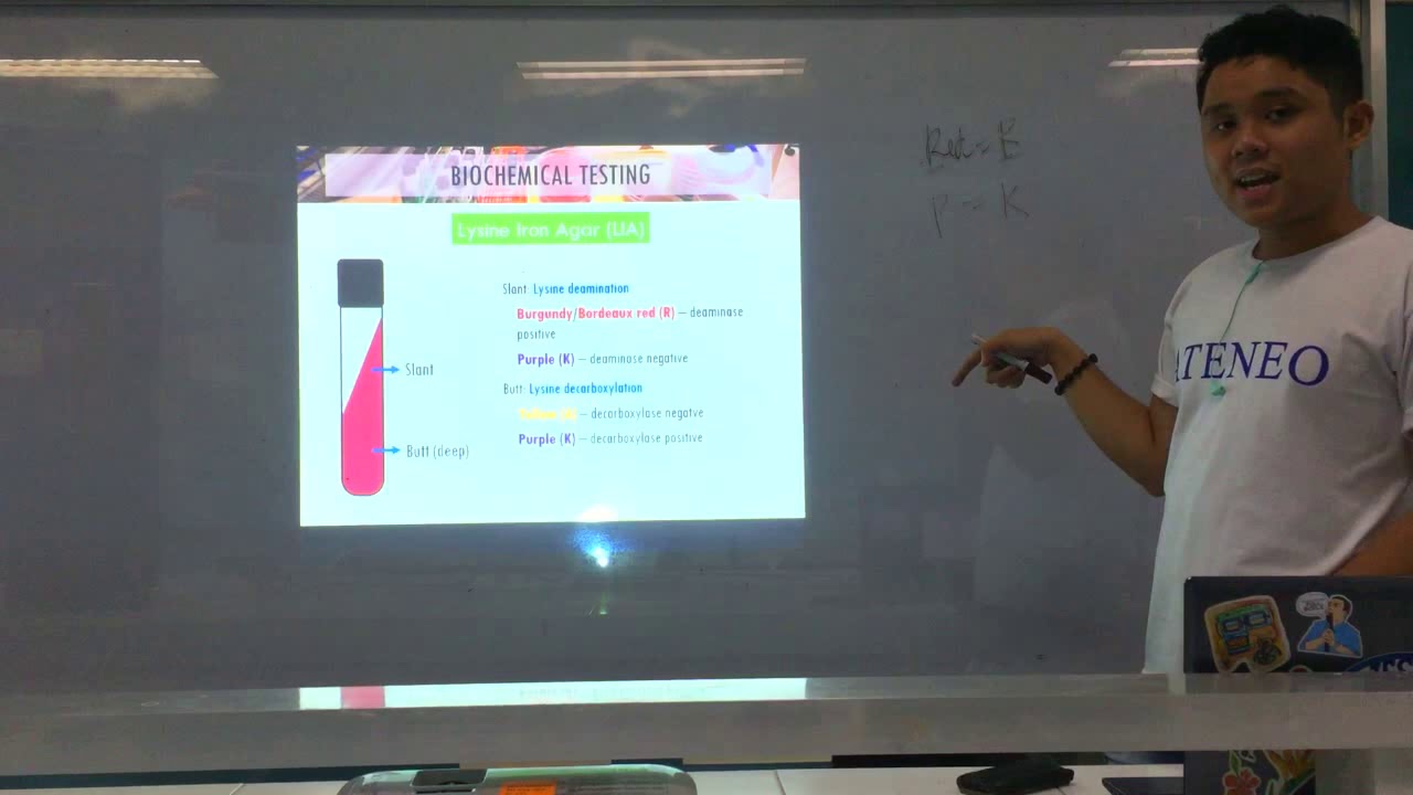 MT Pre-Recorded Lectures | MT 37: Biochemical Testing (Enterobacteriaceae Part 3)