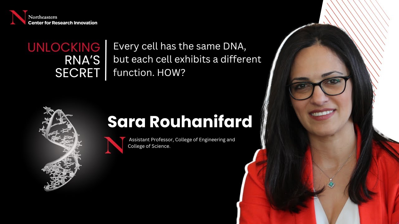 Every cell has the same DNA, but exhibits a distinct role & function &ndash; How? Unlocking RNA&rsquo;s Secrets