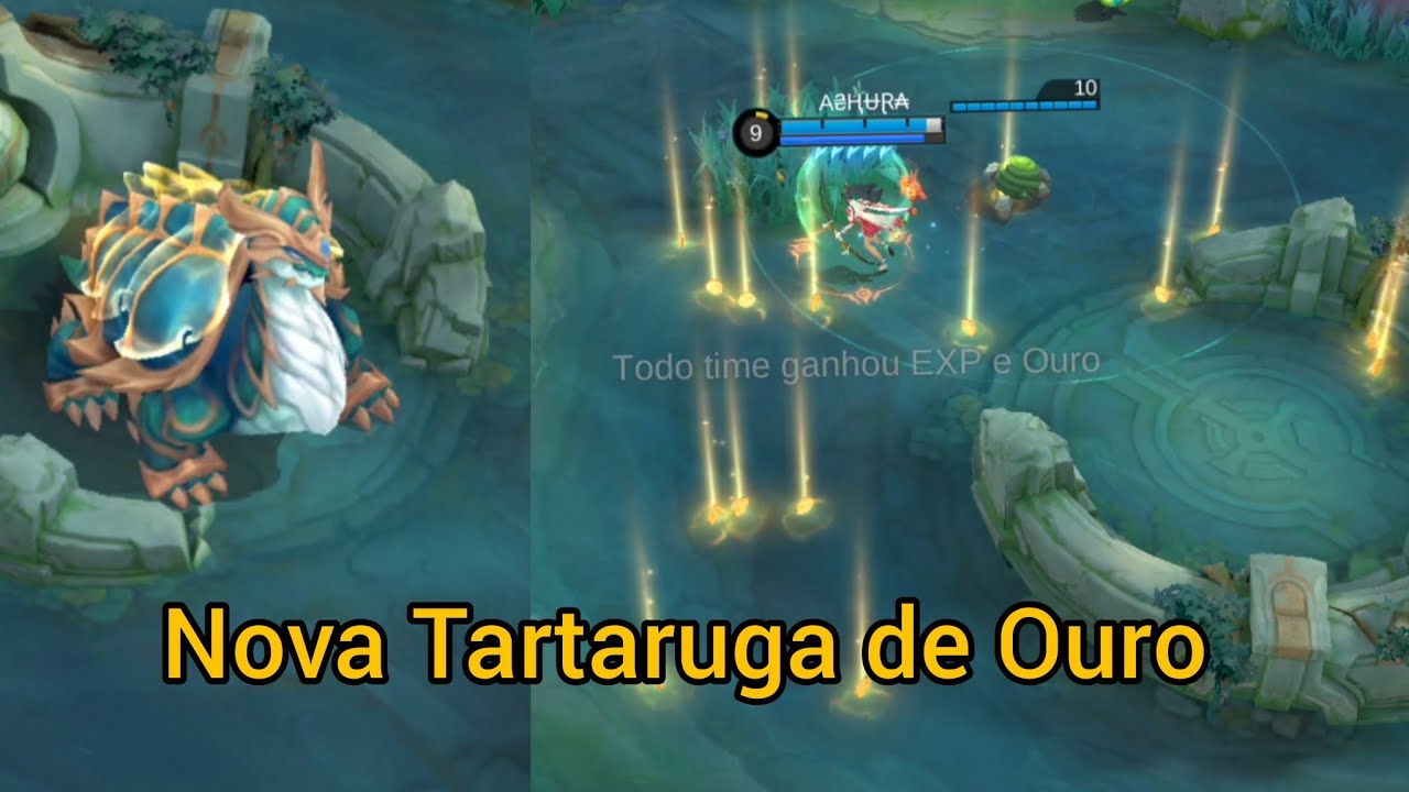 NEW TURTLE GOLD,NERF BENEDETTA BUFF LOLITA