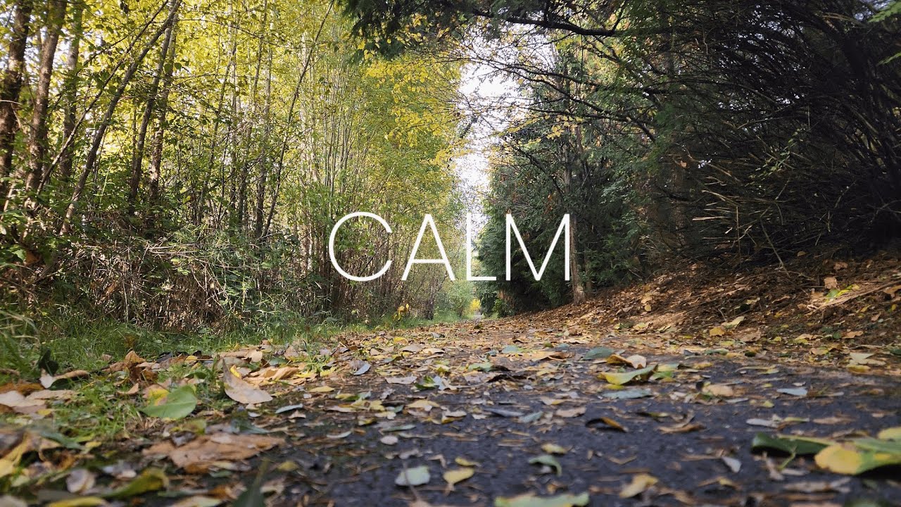 Relaxing Piano in Nature &mdash; Ambient Atmospheric Music for Peace and Calm