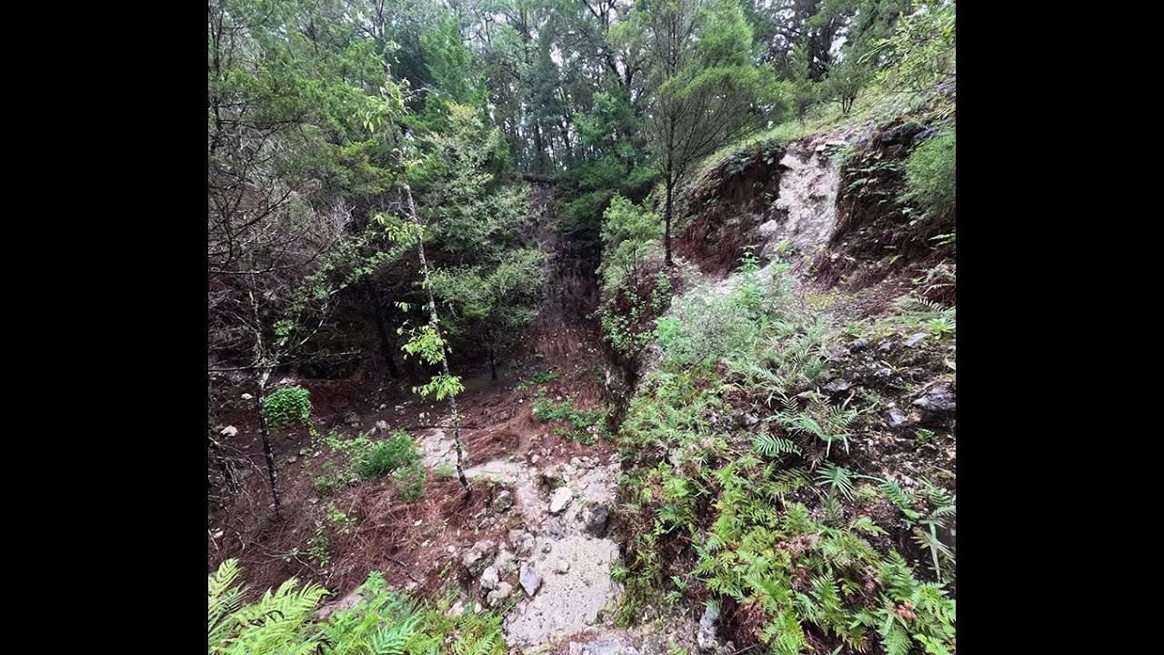 Old Mining Quarry in Withlacoochee State Forest
