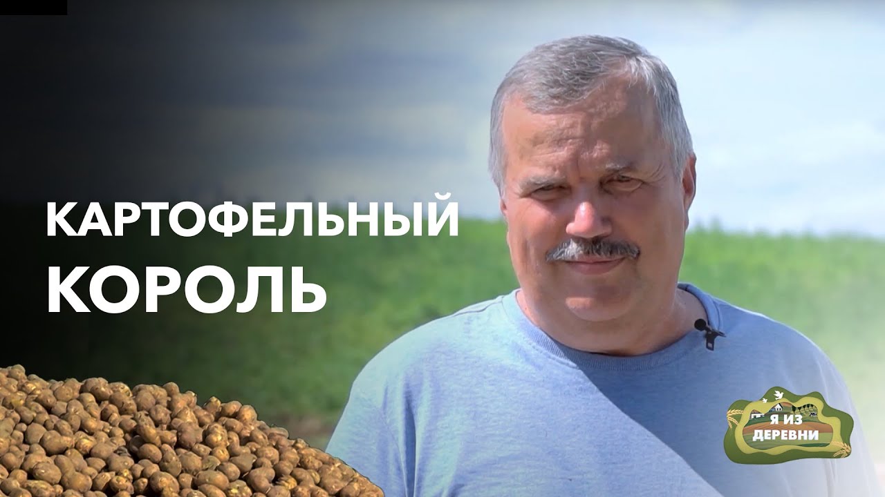 Картофельное фермерство: выгодно ли? «Я из деревни». Фермер из д. Аронова Слобода