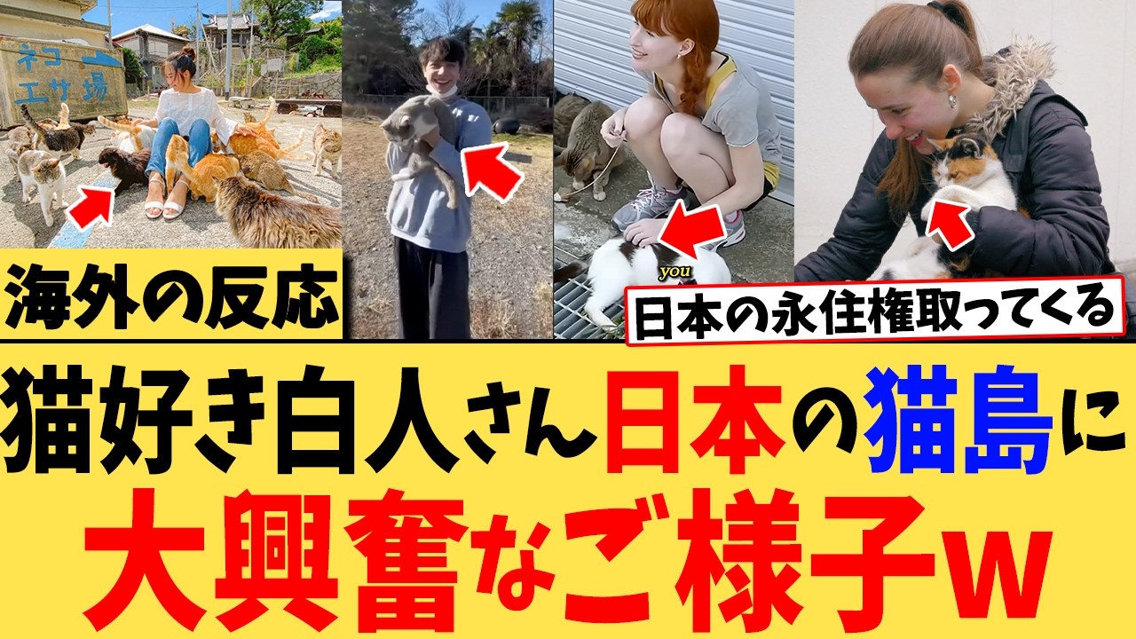 「日本に移住し続けたい&hellip;」日本の猫島に沼っていく外国人の反応がこちらwww【海外の反応】