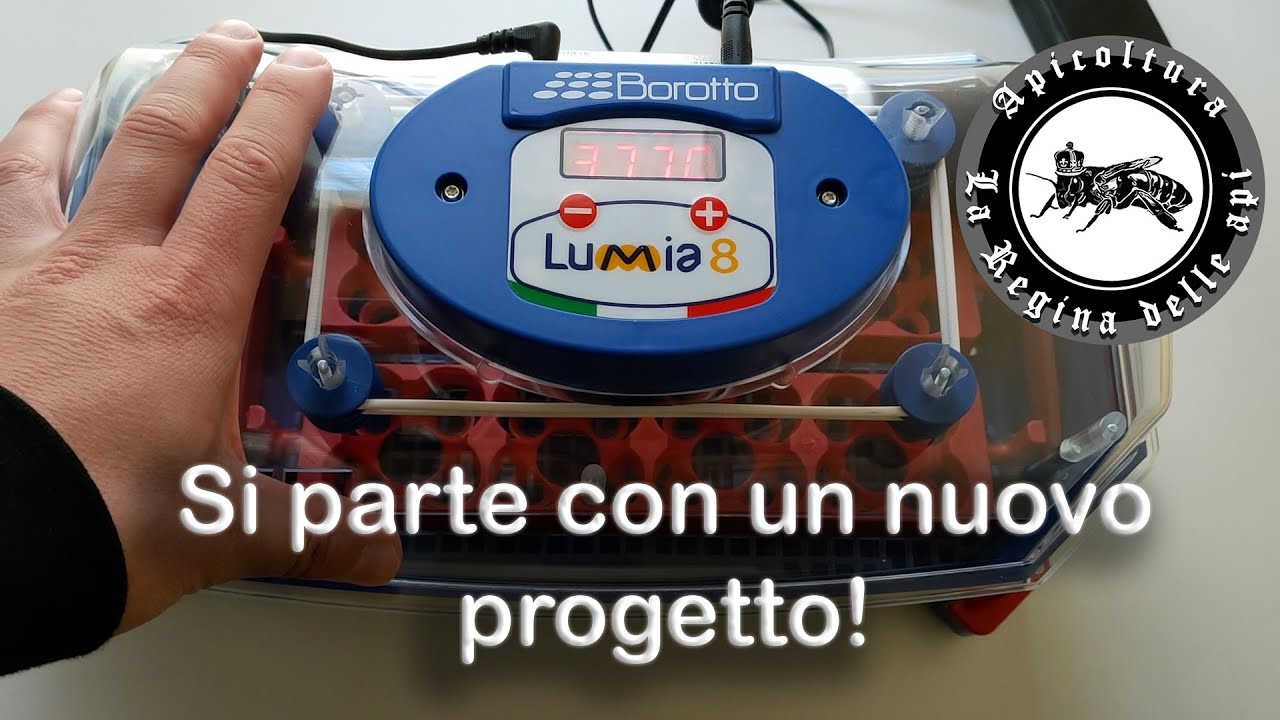 La mia Incubatrice LUMIA 8 borotto #avicola #incubator