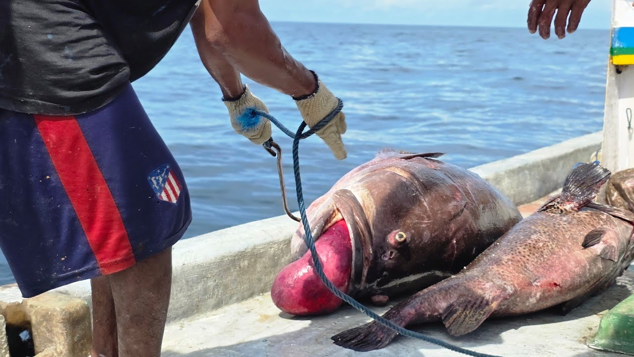 GOKIL!! KERAPU 108KG BERHASIL DITAKLUKKAN!