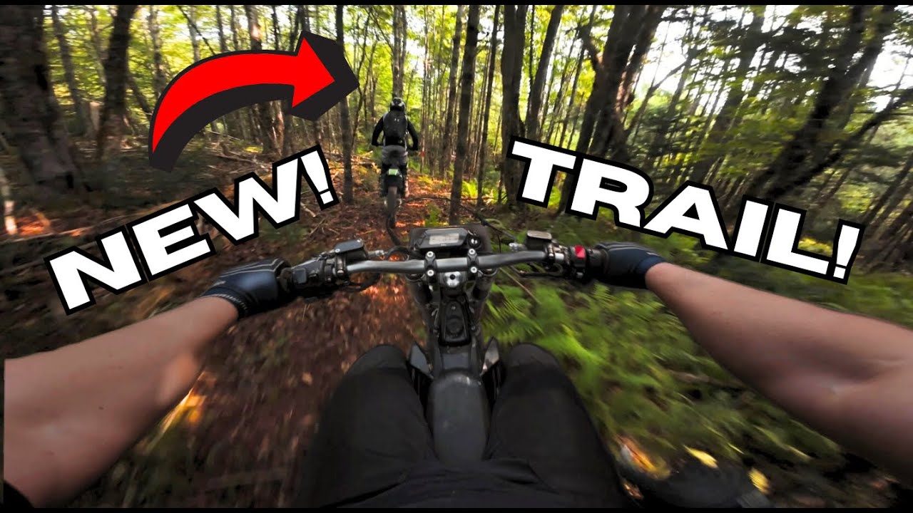 BRAND NEW Dirt Bike Single Track // Surron Ultra Bee
