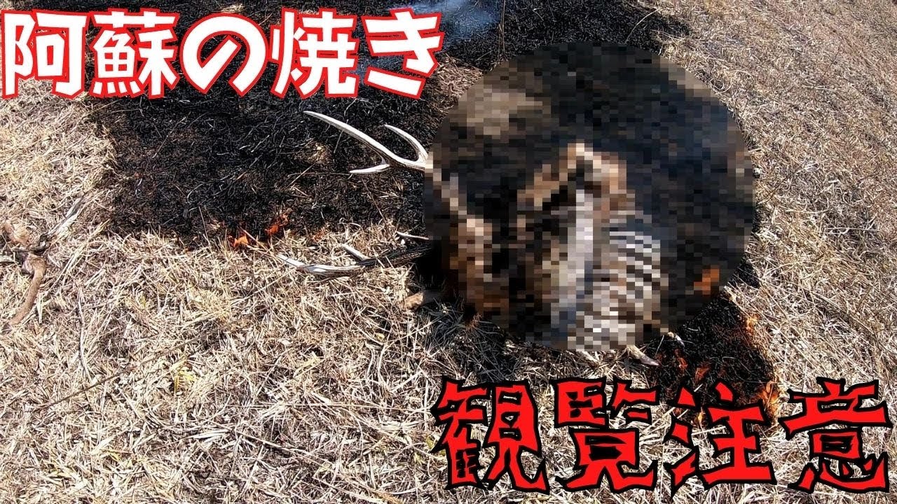 【観覧注意】２０２２野焼きしてたら〇体発見！