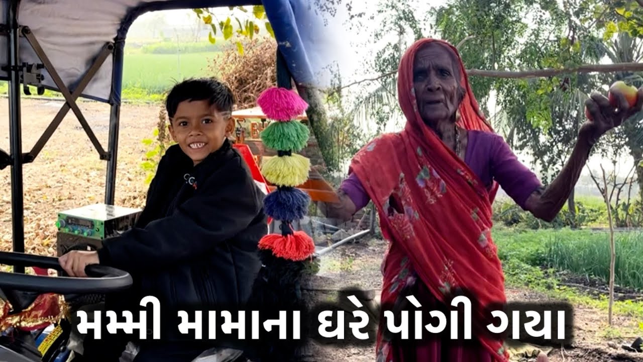 મમ્મી મામાના ઘરે પોગી ગયા Mom went to Uncle's house.