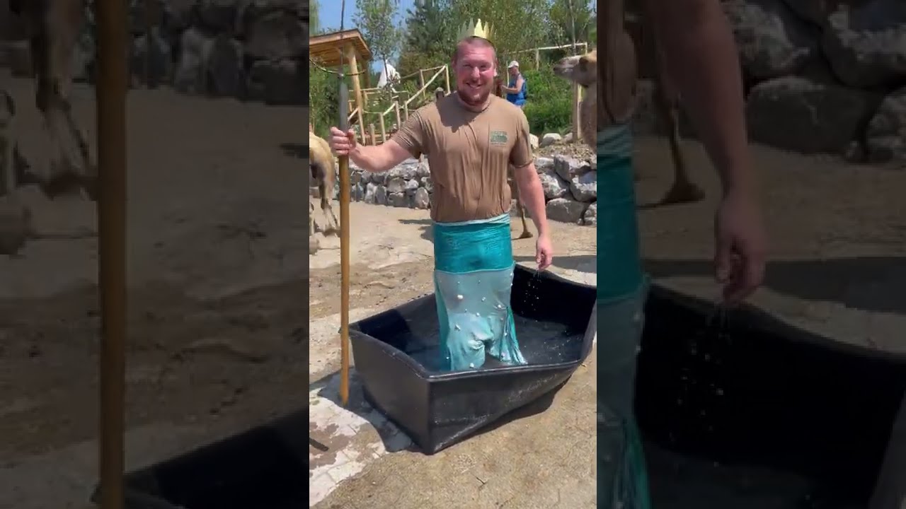 Pool-Challenge im Walter Zoo🎉💦