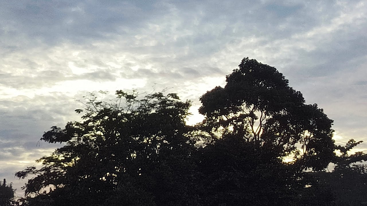 Correct me if I'm wrong, Jamaican reggae song, by: badriansyahputra31 & Suno AI, #music #reggae 