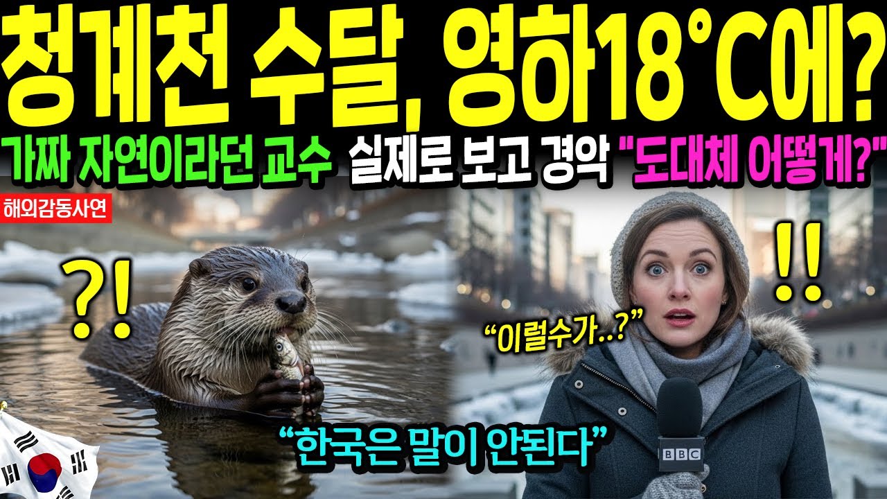 [해외감동사연] 