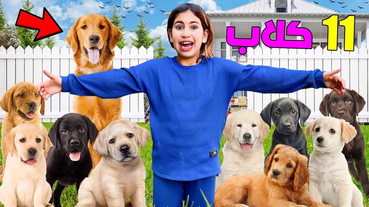 للاسف..قررنا الاعتناء بـ 11 كلب 🐶دخال الفيلا الملكية😱(ولكن حمقونا)💔