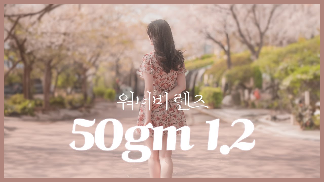 [소니 50gm f1.2] 무조건 들고 다니는 기본 단렌즈🤩! 50mm 고민하고 있다면 꼭 보세요! |sony 50mm f1.2 review