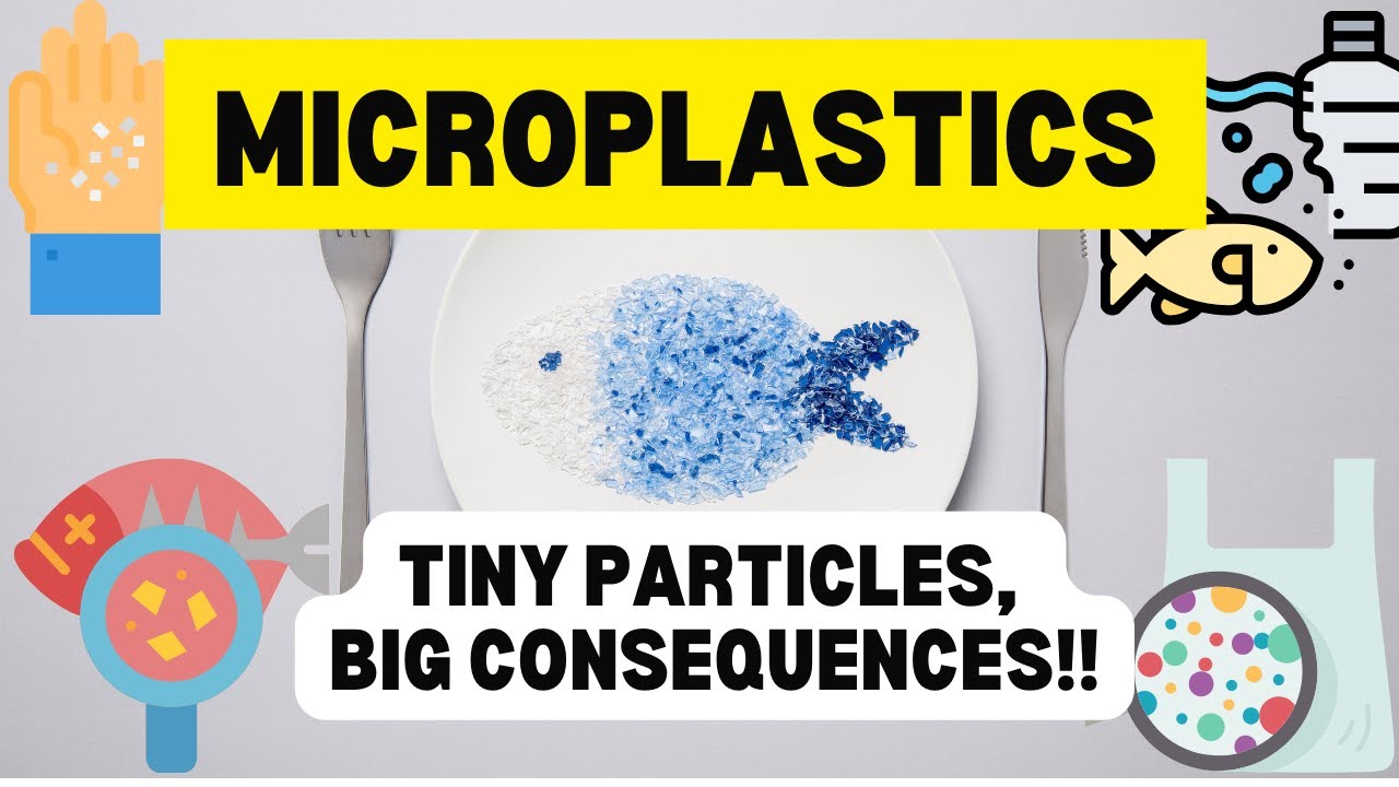The Impact of Microplastics: Tiny Particles, Big Consequences!