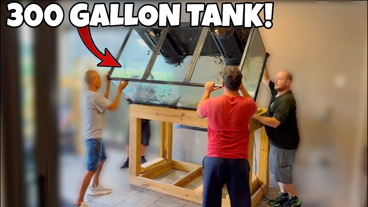 Moving My 300 Gallon Aquarium… This Almost Went Wrong