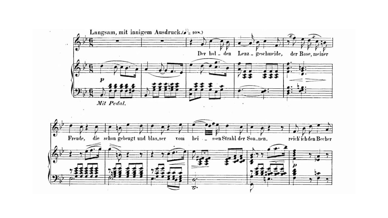 Meine Rose(R. Schumann) 성악반주 Piano accompaniment