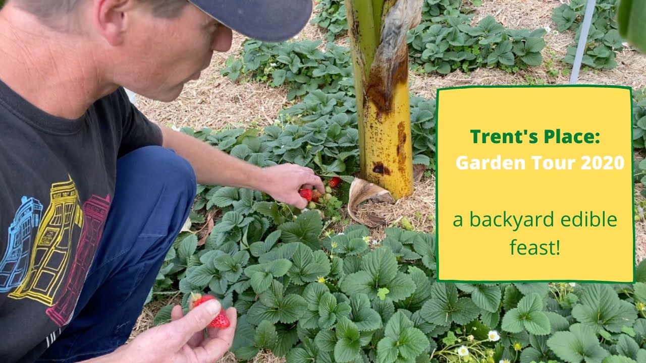 Garden Tour 2020 | Planting on a slope | Veggies mixed with Fruit Trees