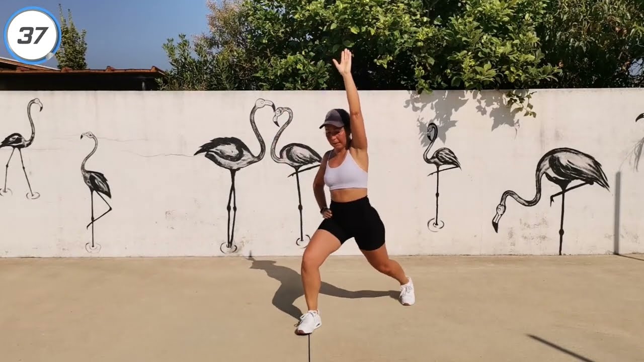 TREINO CARDIO - sem saltos, tudo em pé, sem equipamento - sair do sedentarismo - 30 minutos