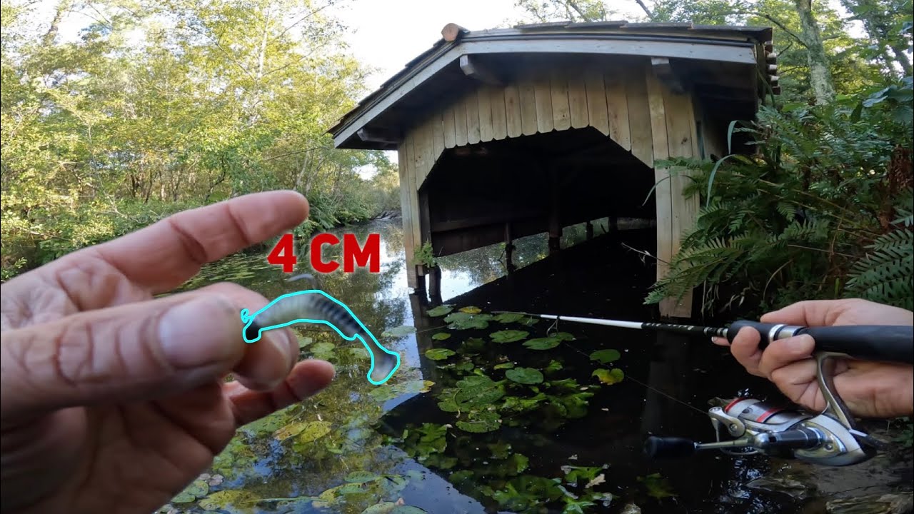 Je PÊCHE avec un MICRO-LEURRE de 4 CM , une DINGUERIE !! ( super session )  #peche #brochets #perche