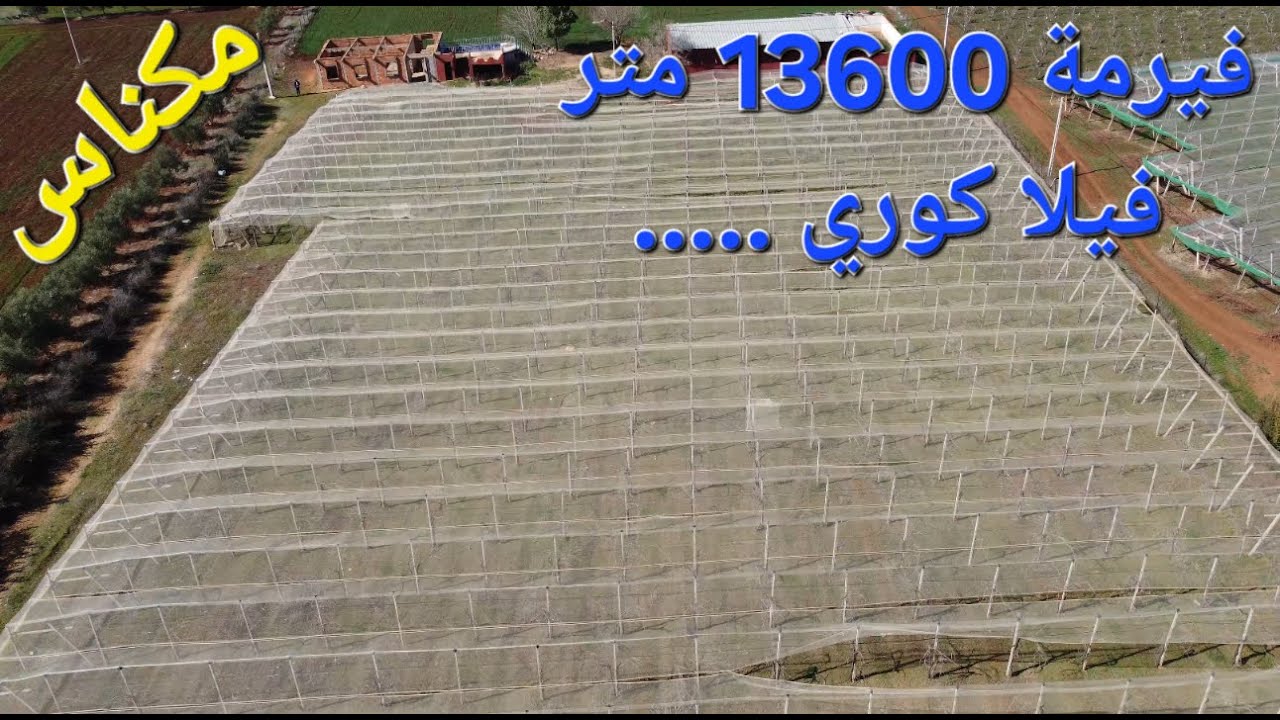 Ferme équipée 13600 mètres Meknes فيرمة مجهزة 13600 م مكناس