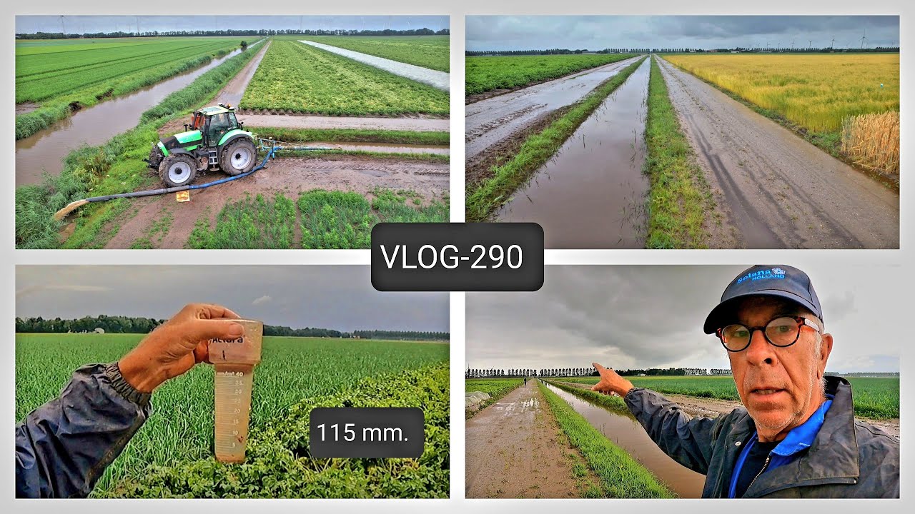 FARMVLOG #290 stortbui, stand van de gewassen
