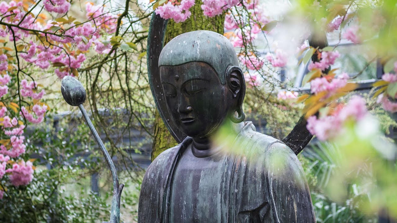 Harmonious | Restful Meditation