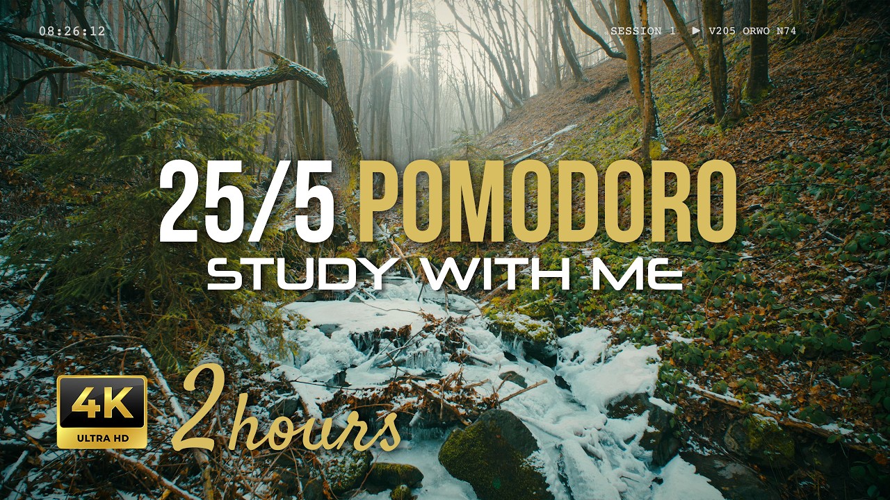 2 Hours Pomodoro Timer 25/5 • Frozen Forest River Sounds for Deep Focus & Study