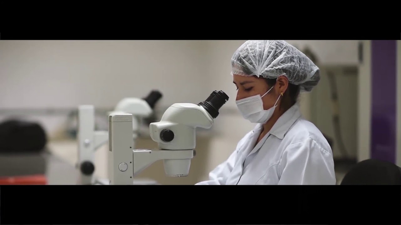 MICROMANIPULACI&Oacute;N Y CLONACION A PARTIR DE C&Eacute;LULAS SOM&Aacute;TICAS.