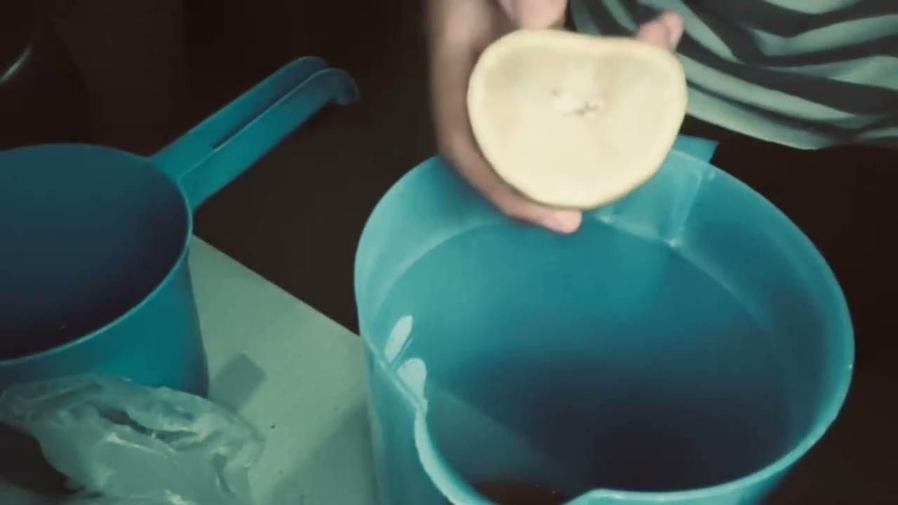 PROSES PEMBUATAN PRODUK JAHE ASAM || TUGAS PKWU || KELOMPOK 6 || F.XII-4 || SMAN 9 JAMBI