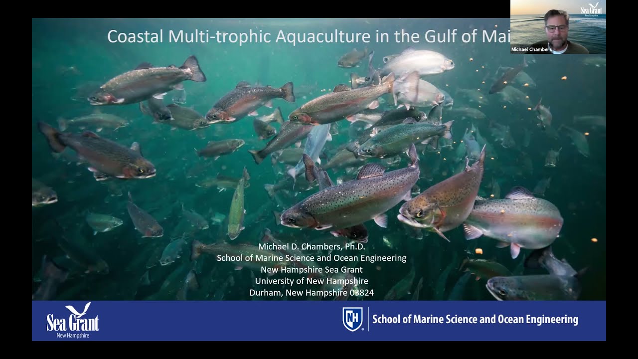 Integrated Multi Trophic Aquaculture - IMTA - US Aquaculture Society
