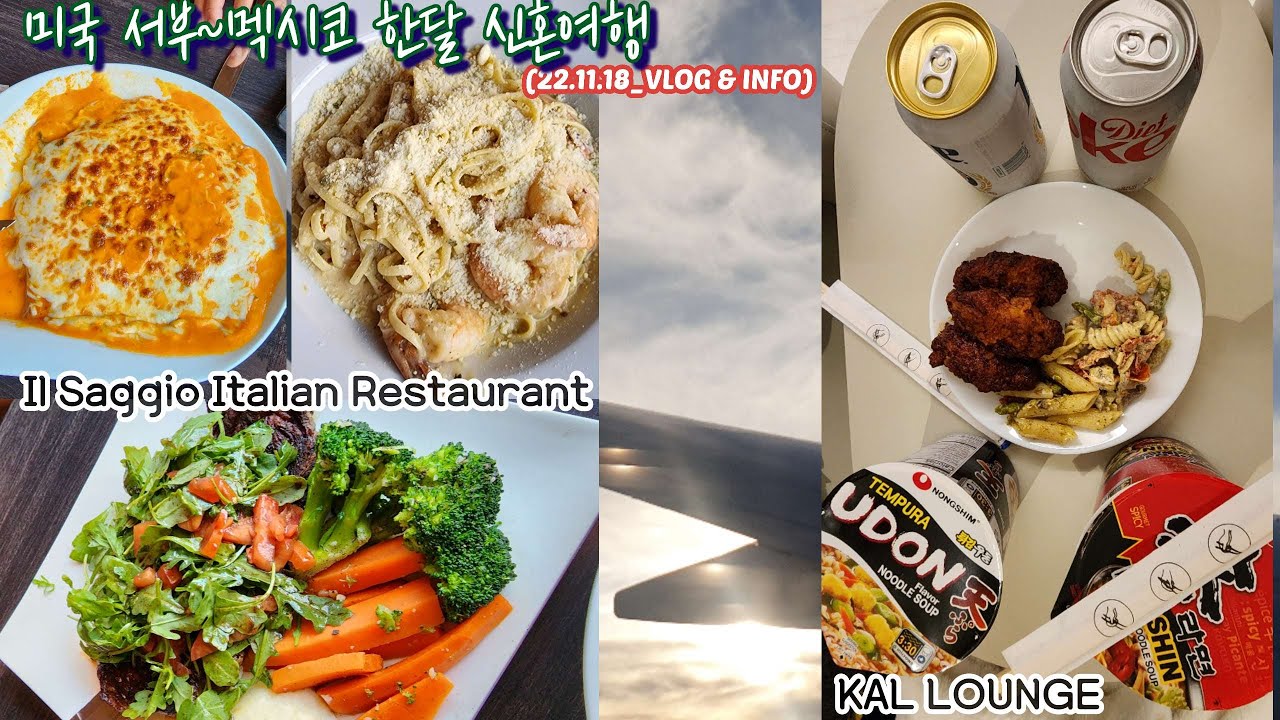 ✈신혼여행_미국_18VLOG+INFO✈한달동안 신혼여행 하면서 겪었던 좋았던 곳, 기억나는 곳 등등 자세하게 풀어봤어요-!
