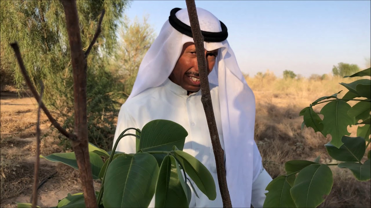 محمية الدكتور فوزان الفوزان في منطقة السر