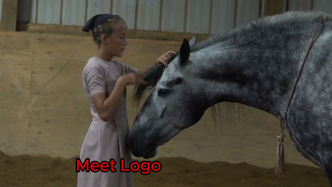 -Sold- Logo Being offered by Buckeye Acre Farm at The Best Of The West Horse Sale